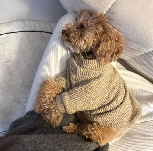Small Dog Sweater – Soft Stretchy Knit Pullover for Chilly Weather (XS–XL)