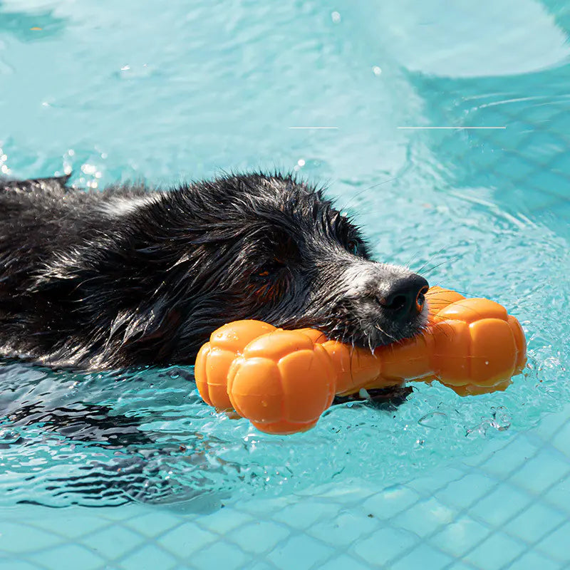 Floating Sound Bone Dog Toy – Durable TPE Chew Toy for Water Play & Training