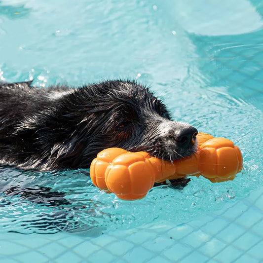 Floating Sound Bone Dog Toy – Durable TPE Chew Toy for Water Play & Training
