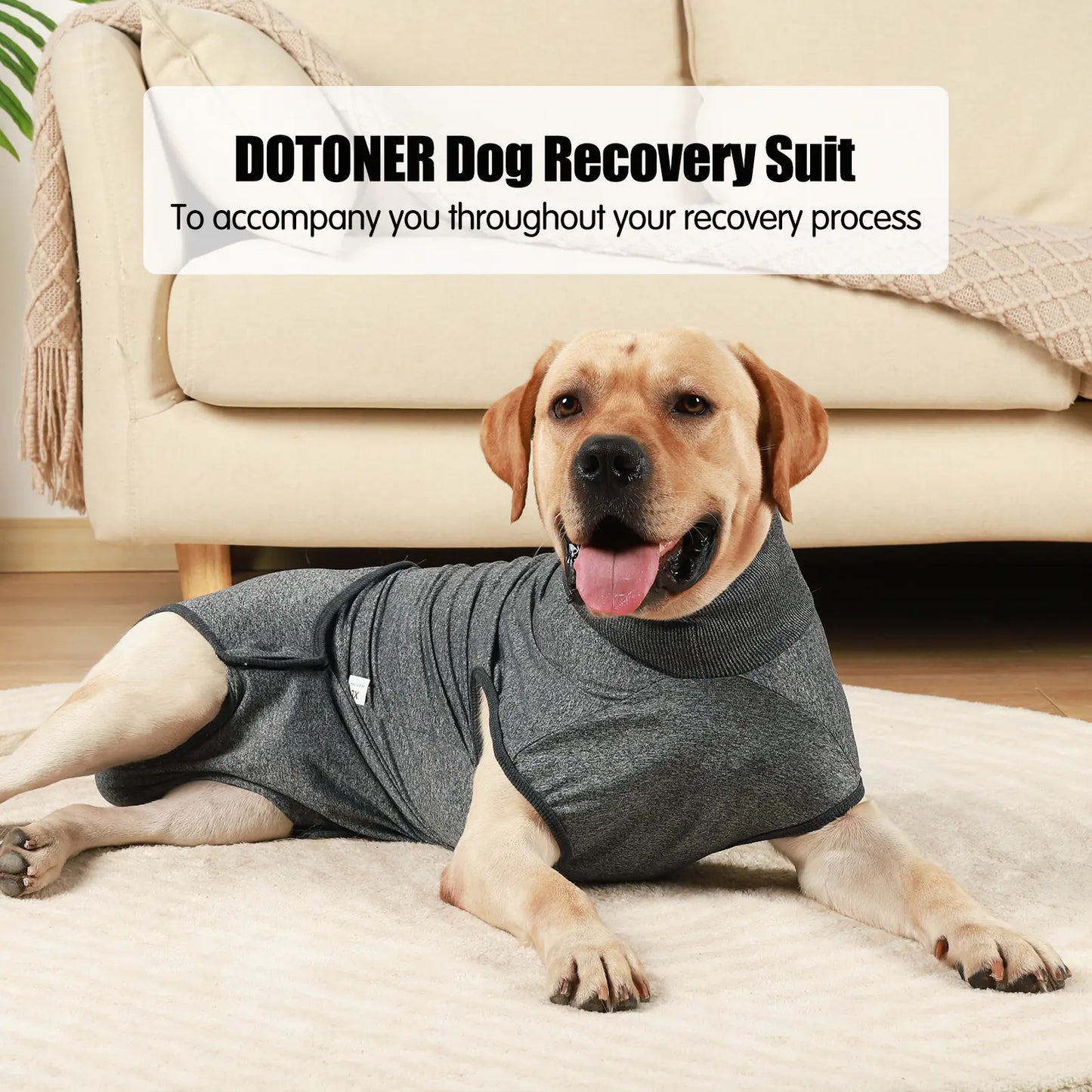 Dog Recovery Suit – Soft Post-Surgery Pet Clothing with Nappy Pad & Velcro Design (XXS–3XL, Grey & Wine Red)