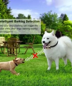 Anti Bark Collar Control Device – Safe, Adjustable, and Humane Training Solution