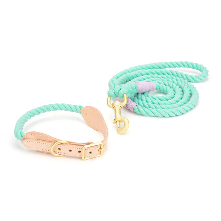 Cowhide Woven Cotton Rope Dog Leash & Collar Set – Durable & Stylish for All Breeds (Sizes S–XL)