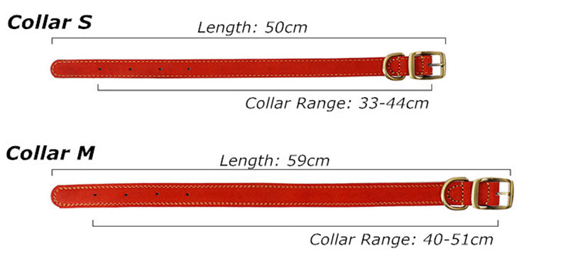 Cowhide Leash Set – Premium Leather Collar and Leash for Dogs (S & M Sizes)
