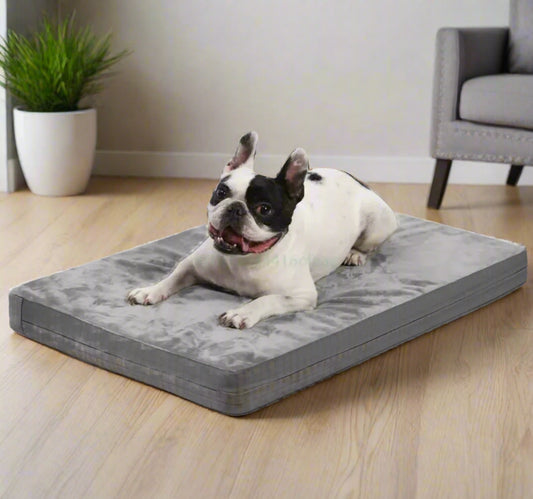 Orthopedic Memory Foam Dog Bed – Washable, Crate-Friendly Lounger for All Sizes