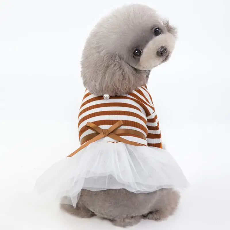 Spring & Summer Dog Princess Dress – Cotton Comfort with Elegant Flair (Coffee & Navy Blue)