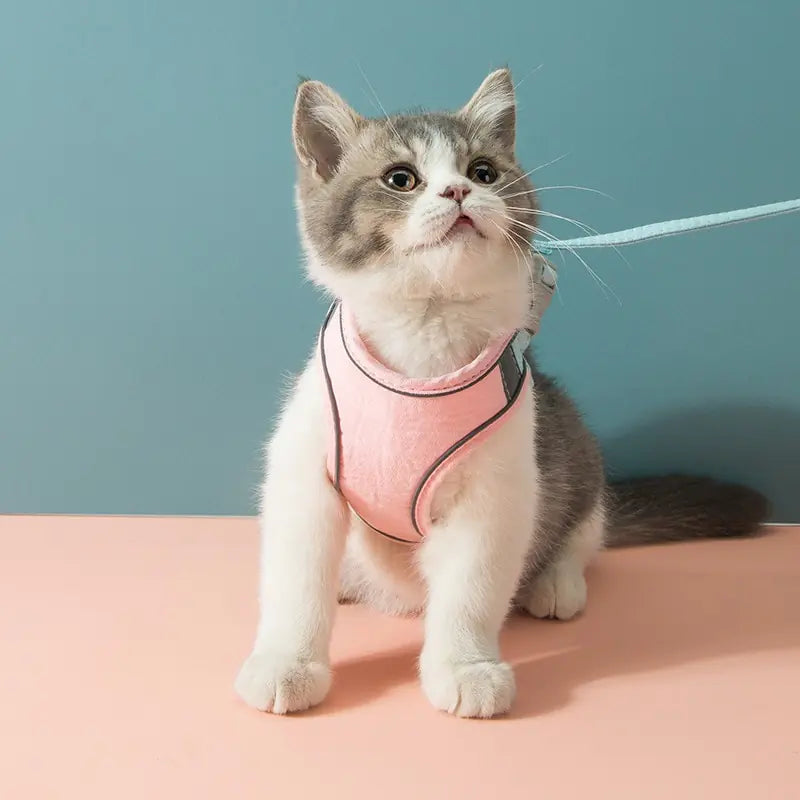 Cat Harness Leash Set – Adjustable, Breathable & Stylish for Outdoor Adventures