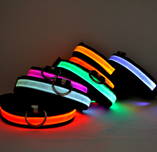 USB Rechargeable LED Dog Collar – High-Visibility Light-Up Collar for Nighttime Walks (Sizes XS–XL)
