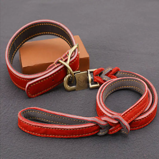 Cowhide Leash Set – Premium Leather Collar and Leash for Dogs (S & M Sizes)