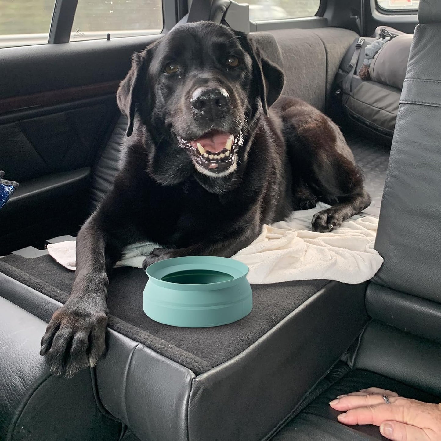 Collapsible Spill-Proof Dog Water Bowl for Cars, Travel, Camping, Hikes, and RV Use