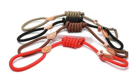Slip Lead Training Dog Leash – Adjustable Rope Leash for Dogs (S to XXL)