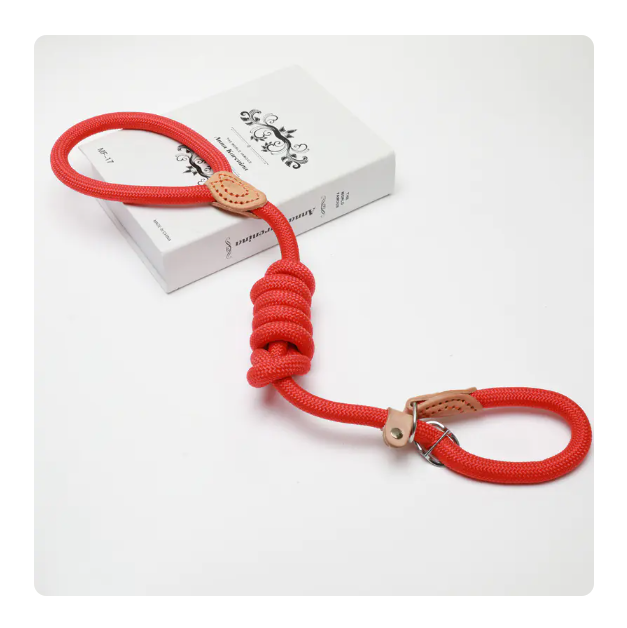 Slip Lead Training Dog Leash – Adjustable Rope Leash for Dogs (S to XXL)