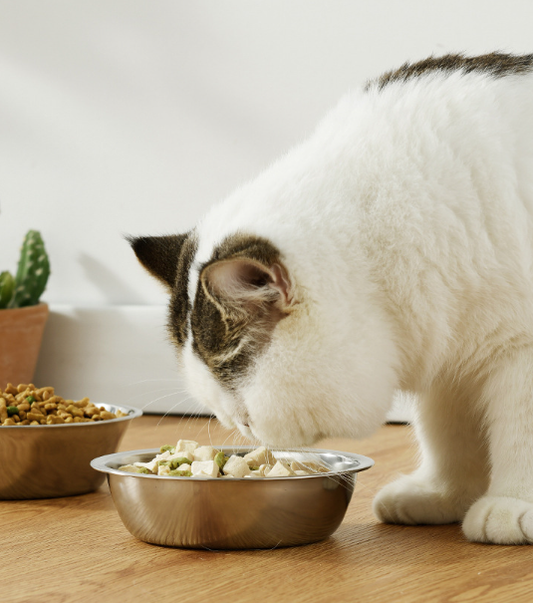 Stainless Steel Pet Bowl – Stackable, Polished, and Perfect for Cats and Dogs