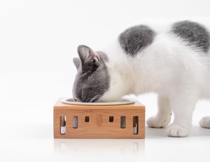 Elegant Solid Wood Pet Dining Table with Bowl Stand