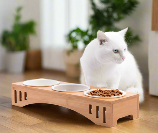 Elegant Solid Wood Pet Dining Table with Bowl Stand