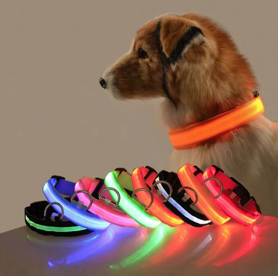 LED Safety Dog Collar – Rechargeable Light-Up Adjustable Collar for Night Walks (Multiple Flash Modes)