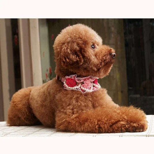 Fancy Leather Dog Collar – Crystal Rhinestone Buckle with Lace & Pearls for Small to Medium Dogs