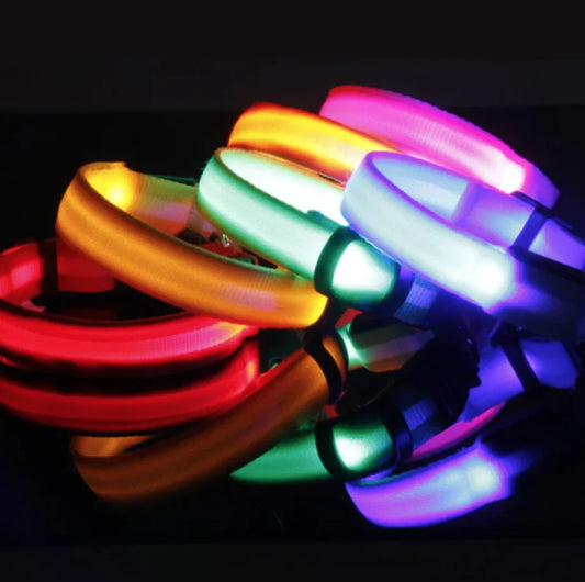 LED Safety Dog Collar – Rechargeable Light-Up Adjustable Collar for Night Walks (Multiple Flash Modes)