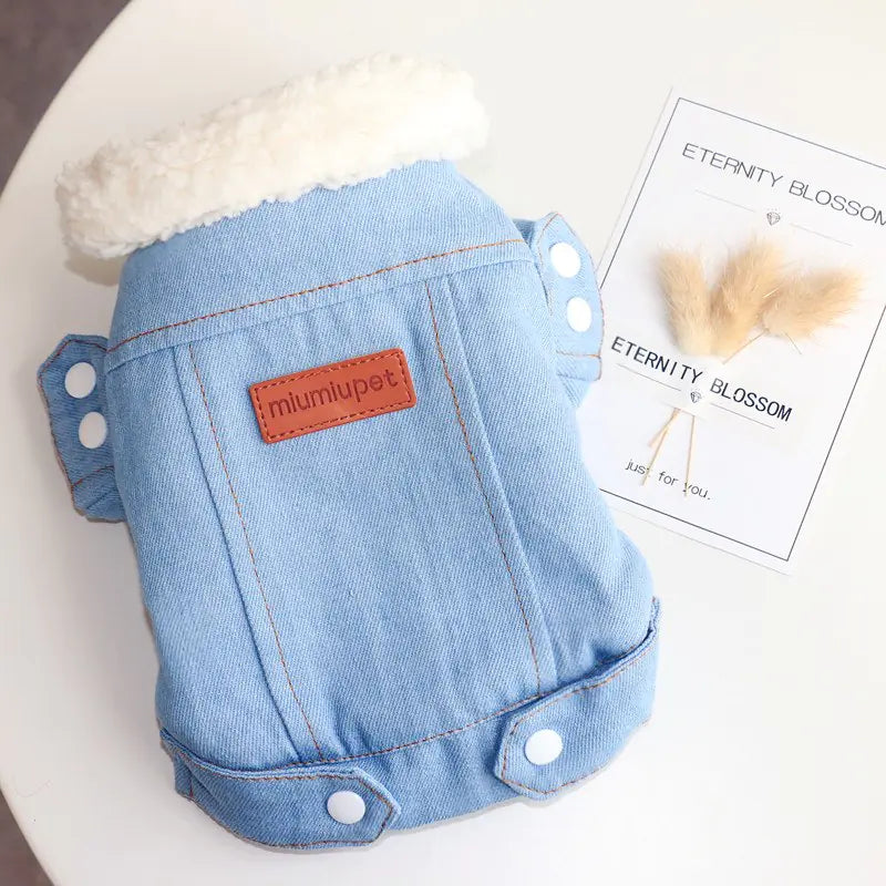 Thickened Warm Dog Cotton Jacket – Stylish Denim Winter Coat (XS to XL)