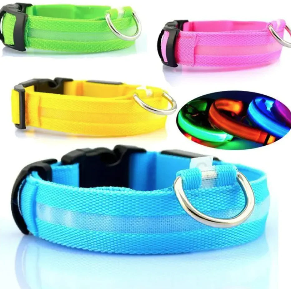 LED Safety Dog Collar – Rechargeable Light-Up Adjustable Collar for Night Walks (Multiple Flash Modes)