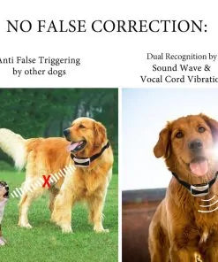 Anti Bark Collar Control Device – Safe, Adjustable, and Humane Training Solution