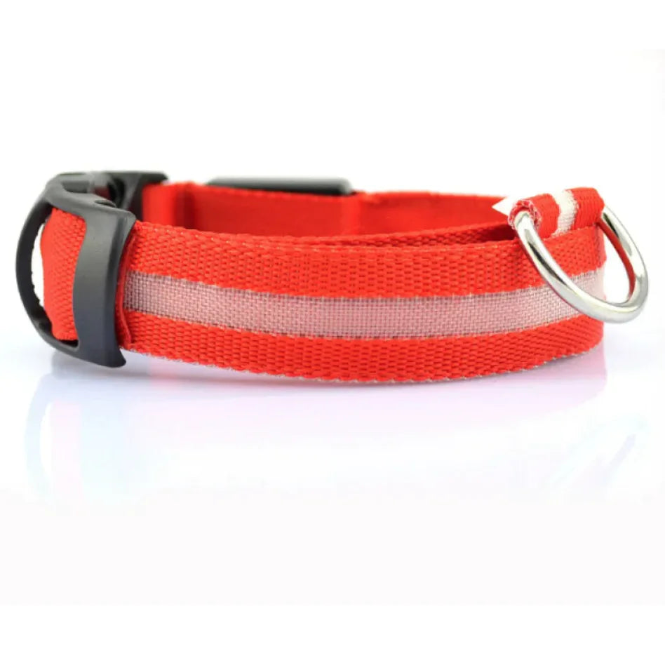 LED Safety Dog Collar – Rechargeable Light-Up Adjustable Collar for Night Walks (Multiple Flash Modes)