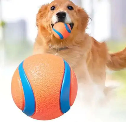 Dog Fetch Toy Ball – Inflatable Rubber Ball for Dogs and Cats in Bright Orange