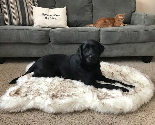 Faux Fur Orthopedic Dog Bed – Soft, Supportive, and Stylish for All Breeds