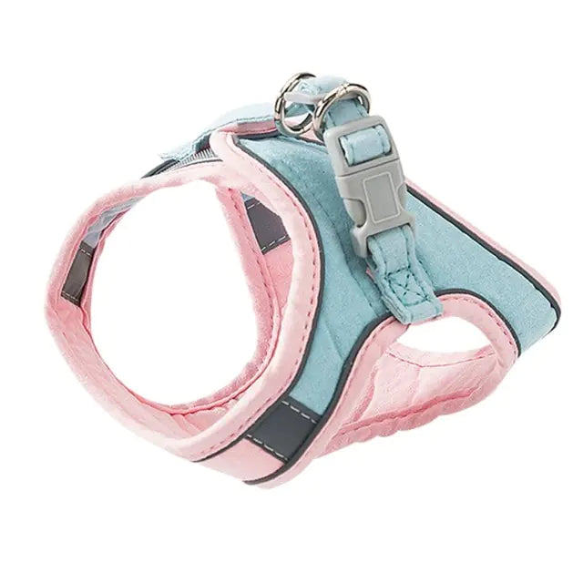 Cat Harness Leash Set – Adjustable, Breathable & Stylish for Outdoor Adventures