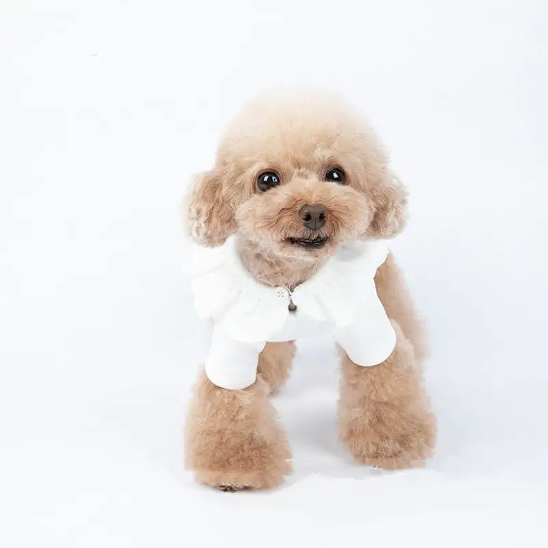 Cozy Acrylic Pet Clothing – Thickened Long-Sleeve Autumn & Winter Outfit for Small to Medium Pets (XXS to 3XL Sizes)