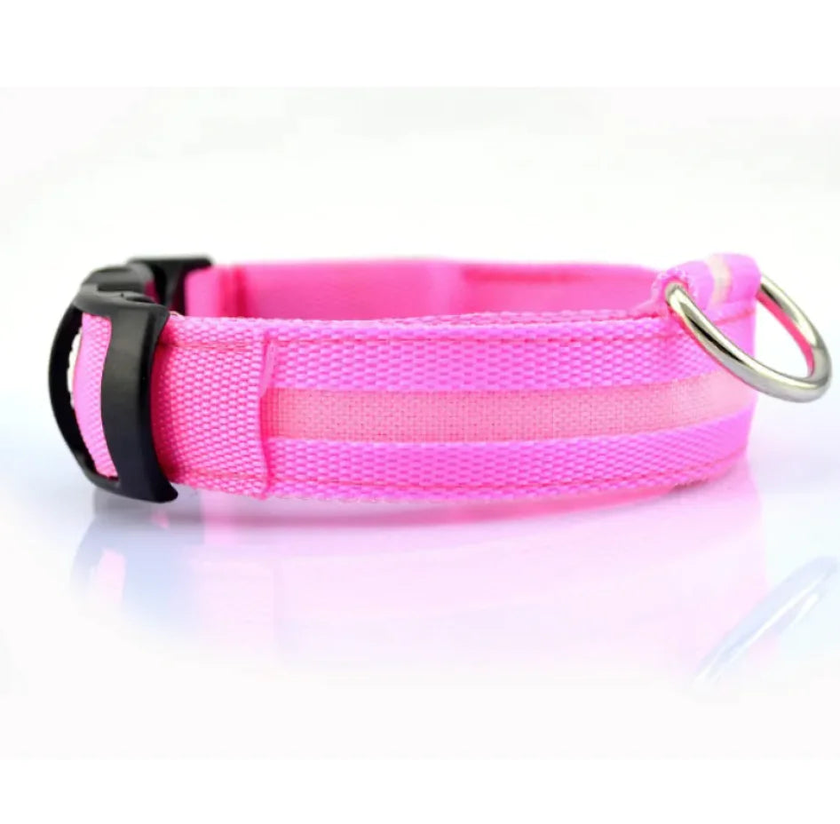 LED Safety Dog Collar – Rechargeable Light-Up Adjustable Collar for Night Walks (Multiple Flash Modes)