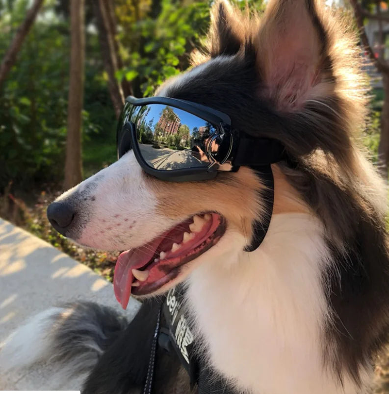 Protective Dog Goggles – UV-Resistant Windproof Pet Eyewear for Outdoor Adventures (Black, 8.5" Wide)