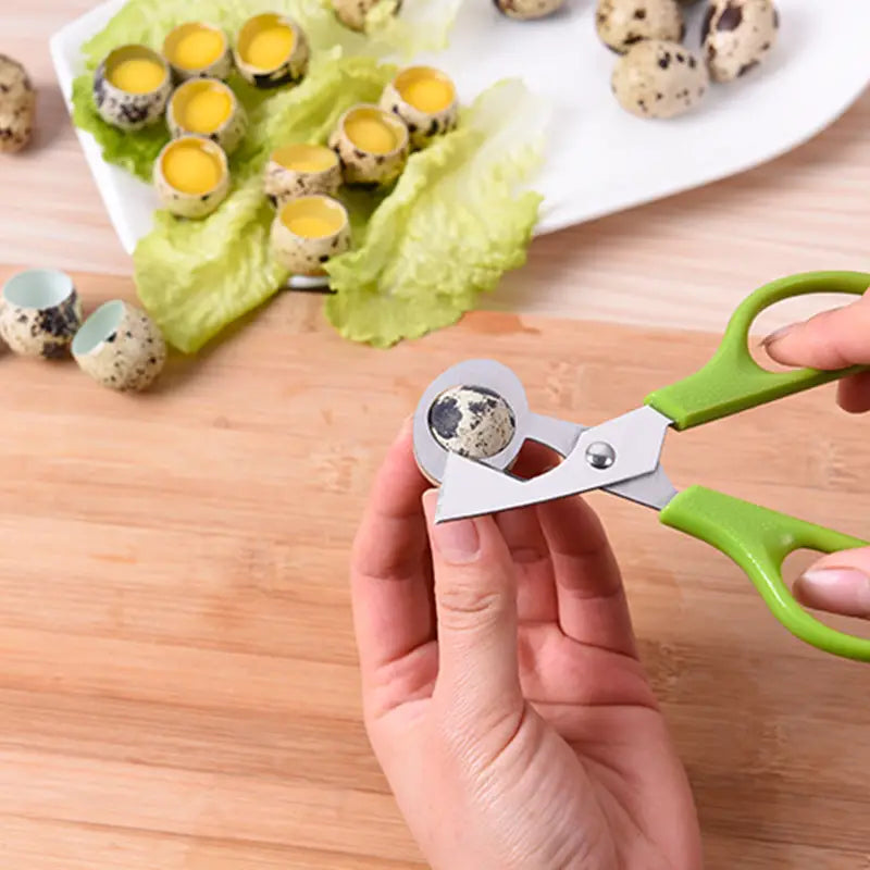 Stainless Steel Quail Egg Scissors – Precision Shell Cutter for Effortless Egg Preparation