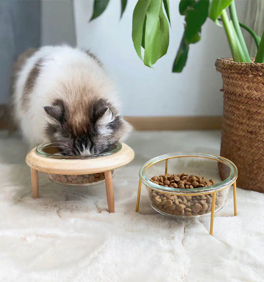 UFO Pet Bowl with Glass Saucer and Beech Wood Stand