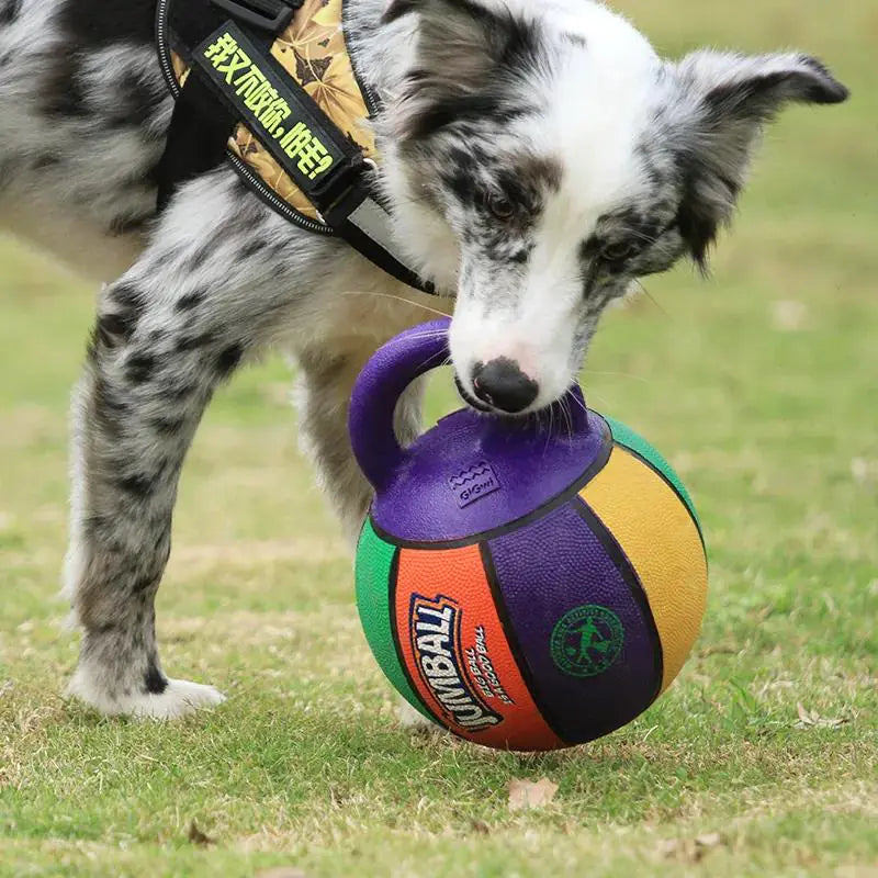 Dog Handle Ball Toy – Interactive Basketball &amp; Football Style Rubber Toy for Medium to Large Dogs